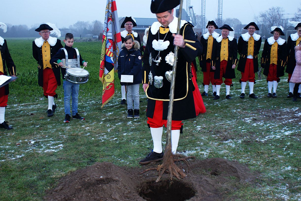 Plantenkoningsboom17122022
